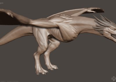 Seresdelle-SD008-3d-model-Wyvern-Dragon-A-v1-03