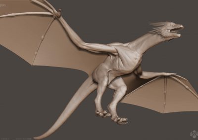 Seresdelle-SD008-3d-model-Wyvern-Dragon-A-v1-06