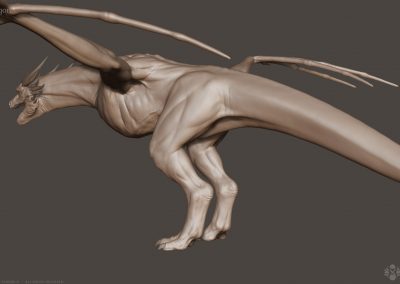 Seresdelle-SD008-3d-model-Wyvern-Dragon-A-v1-10