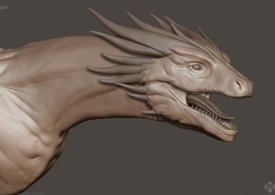 Seresdelle-SD008-3d-model-Wyvern-Dragon-A-v1-13