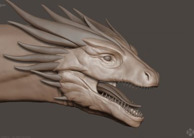 Seresdelle-SD008-3d-model-Wyvern-Dragon-A-v1-17