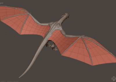 Seresdelle-SD008-3d-model-Wyvern-Dragon-A-v1-23